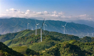 Com impulsa l’expansió de l’energia eòlica la demanda de fibra domèstica de c...